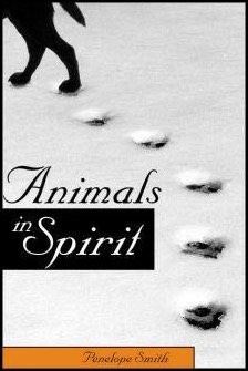 Animals in Spirit book cover
